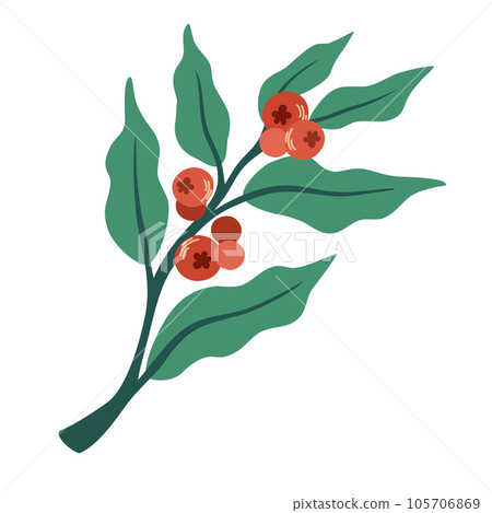 Coffee berries on a branch. Perfect for logo, poster, menu. Specialty cafe, packaging design elements, print. Hand drawn vector illustration Coffee berries on a branch. Perfect for logo, poster, menu. Specialty cafe, packaging design elements, print. Hand drawn vector illustration 105706869