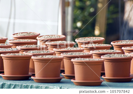 Clay pots Clay pots 105707842
