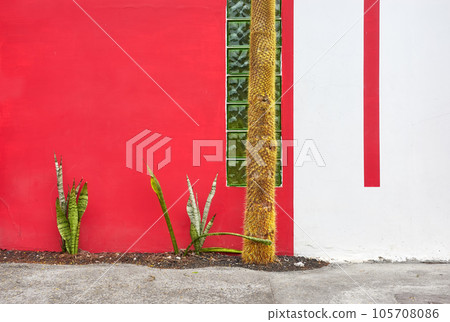 Street view of red and white building facade with cactus, architecture background, Ecuador. 105708086