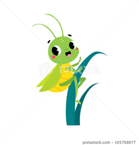 Cute Green Grasshopper Character Climb Grass Blade Vector Illustration Cute Green Grasshopper Character Climb Grass Blade Vector Illustration 105708677