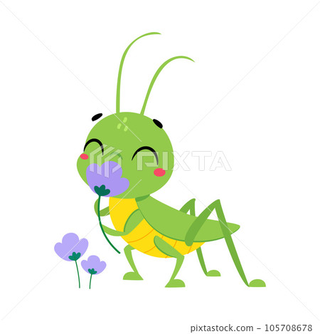 Cute Green Grasshopper Character Smell Flower Vector Illustration Cute Green Grasshopper Character Smell Flower Vector Illustration 105708678
