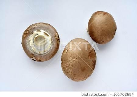 Mushrooms on a white background. Edible mushrooms from the store. Beautiful mushrooms. Mushrooms on a white background. Edible mushrooms from the store. Beautiful mushrooms. 105708694
