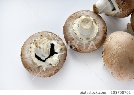 Mushrooms on a white background. Edible mushrooms from the store. Beautiful mushrooms. Mushrooms on a white background. Edible mushrooms from the store. Beautiful mushrooms. 105708701