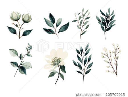 Hand drawn watercolor flower set. Herbs, wildflowers and spices. Branches, leaves, herbs, wild plants, flowers. Vector Illustration EPS10 Hand drawn watercolor flower set. Herbs, wildflowers and spices. Branches, leaves, herbs, wild plants, flowers. Vector Illustration EPS10 105709015