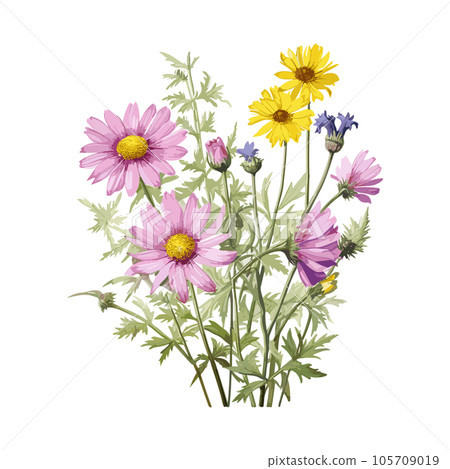 Hand drawn watercolor flower set. Herbs, wildflowers and spices. Branches, leaves, herbs, wild plants, flowers. Vector Illustration EPS10 105709019