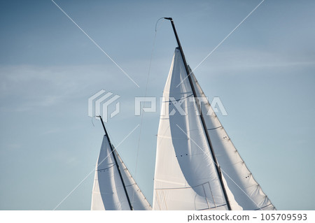 the tops of several sails are illuminated by the sun at sunset, clear sky, masts 105709593