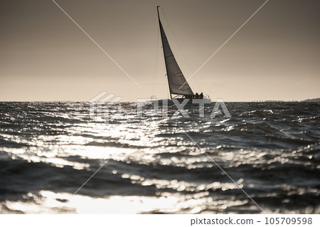 The view of sailboat is heeling at sunset, reflection of sun on water surface 105709598