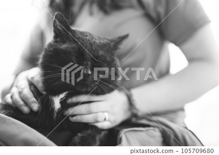 a man holds a black cat in his hands 105709680