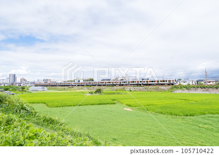 [中央幹線] 穿越鄉村的定期列車 105710422