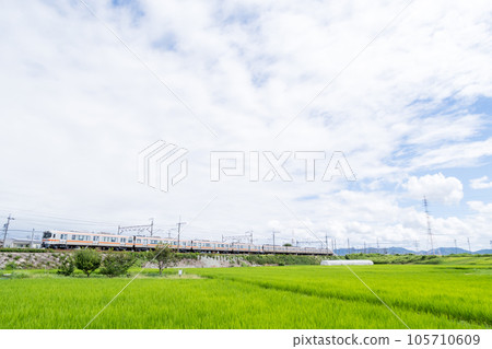 [中央本線]穿越夏季鄉村的普通列車 105710609