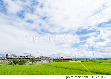 [Chuo Main Line] A local train running through the summer countryside 105710610