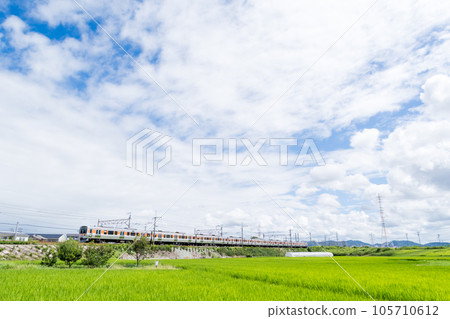 [Chuo Main Line] A local train running through the summer countryside 105710612