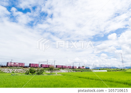 [Chuo Main Line] A freight train running through the summer countryside 105710615