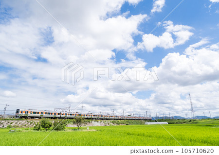 [Chuo Main Line] A local train running through the summer countryside 105710620