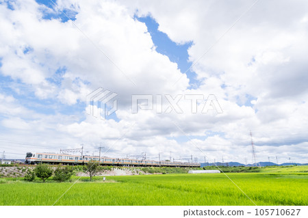 [Chuo Main Line] A local train running through the summer countryside 105710627