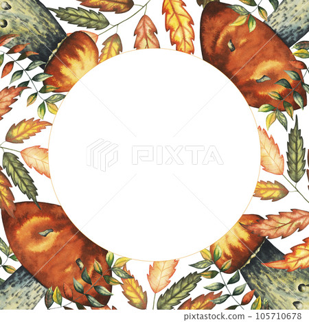 Round square watercolour frame with wild forest red mushrooms and autumn leaves, Isolated hand drawn illustration on white background for banner, postcard, product design 105710678