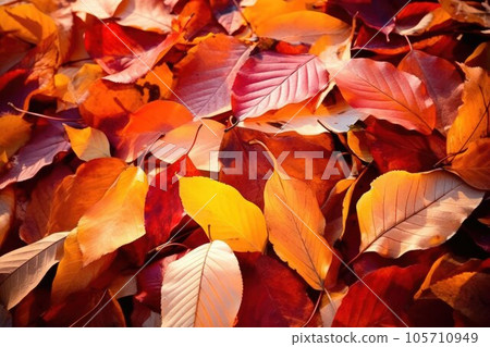 Autumn Leaves - Generative AI 105710949