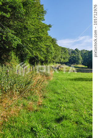 Landscape view, blue sky and field with copy space and green grass growing in remote countryside meadow with copyspace. Scenic land with lush, natural plants and trees in a peaceful farming area Landscape view, blue sky and field with copy space and green grass growing in remote countryside meadow with copyspace. Scenic land with lush, natural plants and trees in a peaceful farming area 105712976