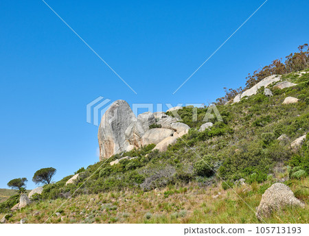 Beautiful landscape view of a mountain covered in lush green plants with a blue sky on a summer day. Peaceful and scenic peak or hills surrounded by nature outdoors on a sunny spring afternoon Beautiful landscape view of a mountain covered in lush green plants with a blue sky on a summer day. Peaceful and scenic peak or hills surrounded by nature outdoors on a sunny spring afternoon 105713193