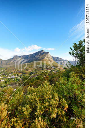 Natural green trees, bushes and a blue sky overlooking rocky cliffs on a hill. Beautiful landscape view of a mountain with fora in nature. Background of dry and grassy terrain in the great outdoors 105713334