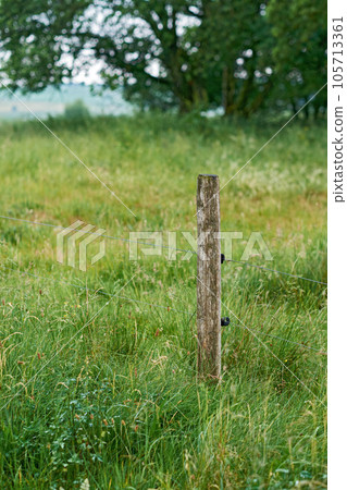 Wooden post and electric fence used as border to secure and protect the farm plains in the countryside. Landscape of bright green meadow with lush grass, plants and trees in a remote field in spring Wooden post and electric fence used as border to secure and protect the farm plains in the countryside. Landscape of bright green meadow with lush grass, plants and trees in a remote field in spring 105713361