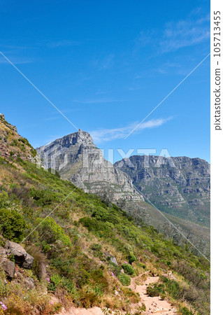 Landscape, scenic and copyspace view of plants, greenery and bushes on a mountain against a clear blue sky. Beautiful and peaceful natural environment showing ecology and landmarks in nature 105713455