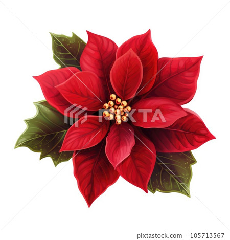 Red watercolor poinsettia clip art on white background Generative AI 105713567