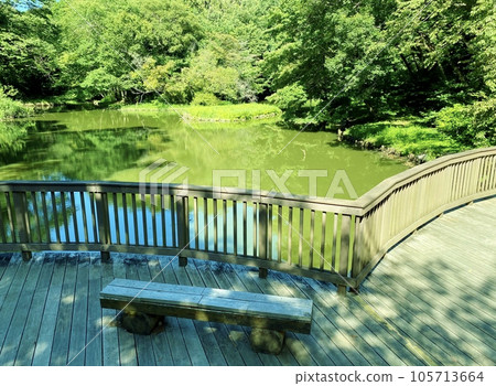 座間矢和山公園的水禽池,周圍綠意盎然 座間矢和山公園的水禽池,周圍綠意盎然 105713664