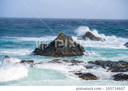 Wild ocean Wild ocean 105714687