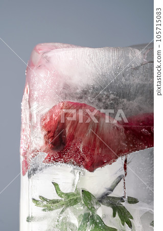 Transparent white ice with flowers frozen in it. 105715083