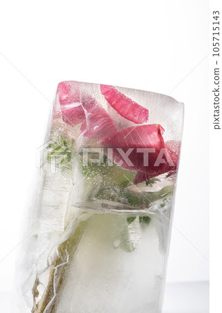 Transparent white ice with flowers frozen in it. 105715143