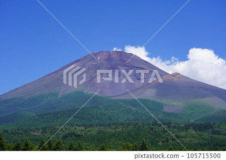 從靜岡縣裾野市眺望夏季的富士山 105715500