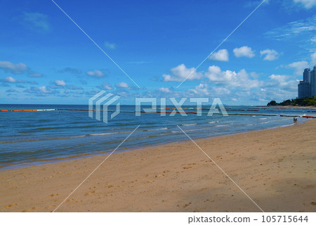 在南部國家的海灘 105715644