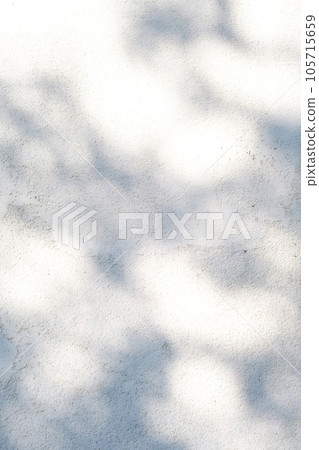 A wall with shadows from leaves. Abstract background. 105715659