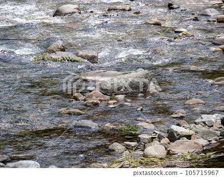 Chikusa River murmuring in summer (August). Located in Sayo-cho, Sayo-gun, Hyogo Prefecture. Chikusa River murmuring in summer (August). Located in Sayo-cho, Sayo-gun, Hyogo Prefecture. 105715967