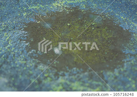 岩石上的水坑 105716248