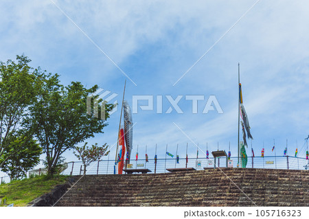 Blue sky and carp streamers 105716323