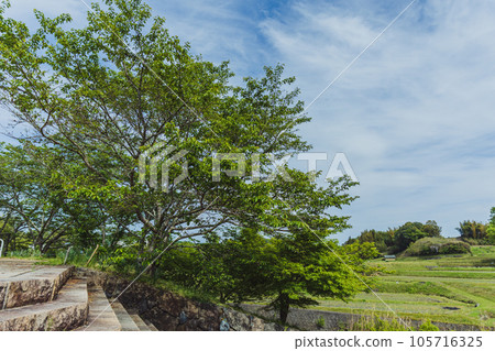 藍天和自然 藍天和自然 105716325