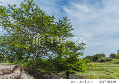 藍天和自然 藍天和自然 105716326