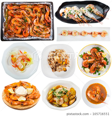Collection of shrimps dishes 105716551