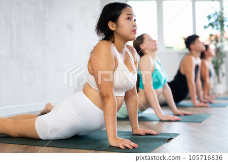 Young woman practicing cobra pose of yoga in light fitness room Young woman practicing cobra pose of yoga in light fitness room 105716836