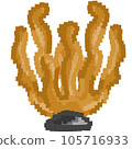 Sea food element and icon in cartoon style. 105716933