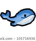 Sea food element and icon in cartoon style. 105716936