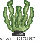 Sea food element and icon in cartoon style. 105716937