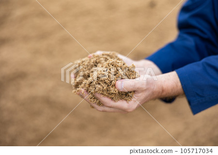 Hands of male farmworker holding handful of brewers grains Hands of male farmworker holding handful of brewers grains 105717034