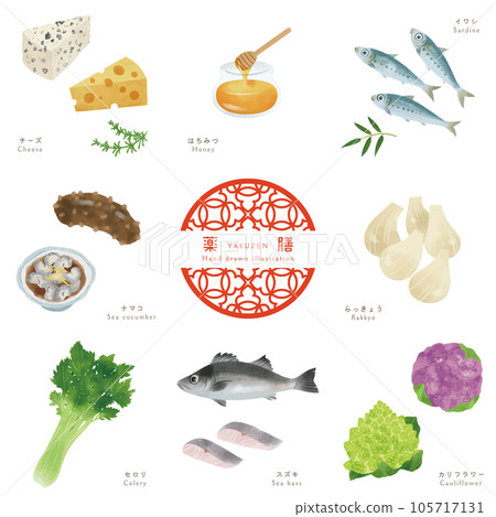 Winter medicine meal-5 / Hand-drawn illustrations of ingredients Winter medicine meal-5 / Hand-drawn illustrations of ingredients 105717131