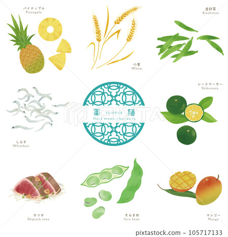 Summer medicine meal-3 / hand-drawn illustrations of ingredients 105717133