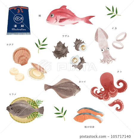 Various fish watercolor illustration set (3) 105717140
