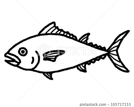 金槍魚，金槍魚，魚，線描 105717153