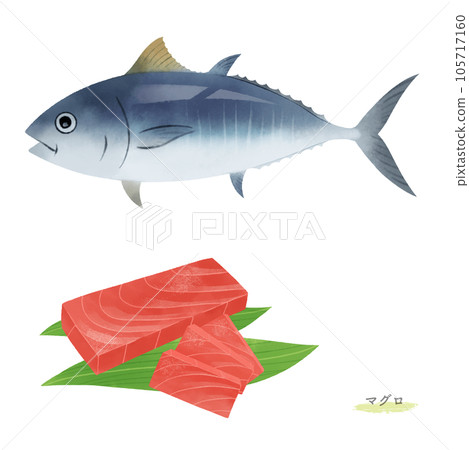 Watercolor style illustration of tuna and tuna fence 105717160